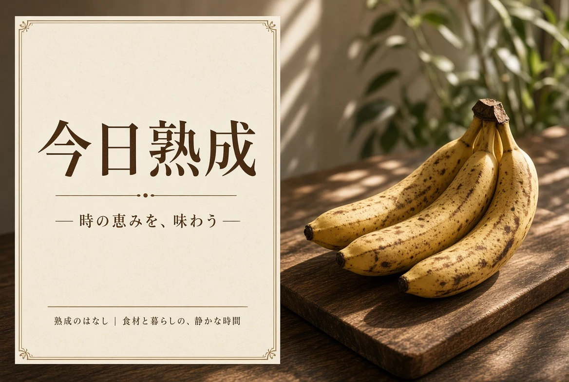 今日熟成内容导览